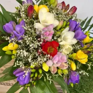 Bouquet de freesias