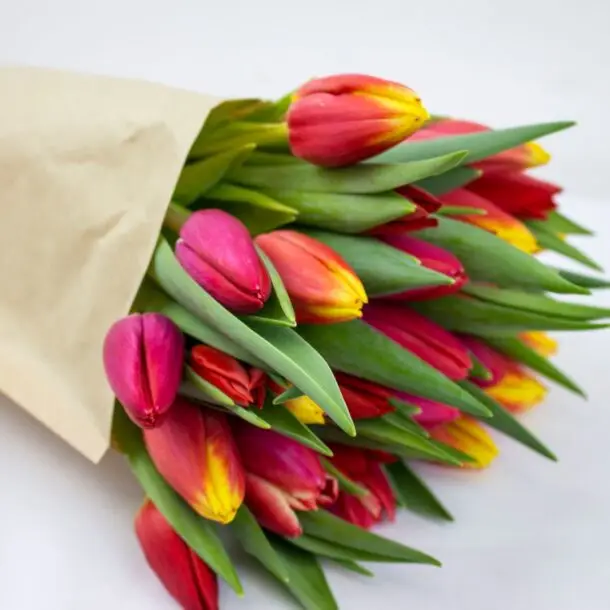 zoom brassée de tulipes colorées