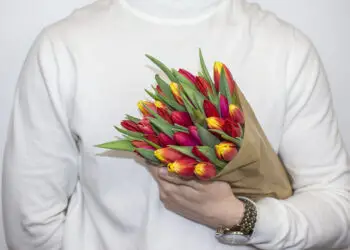 bouquet de tulipes colorées