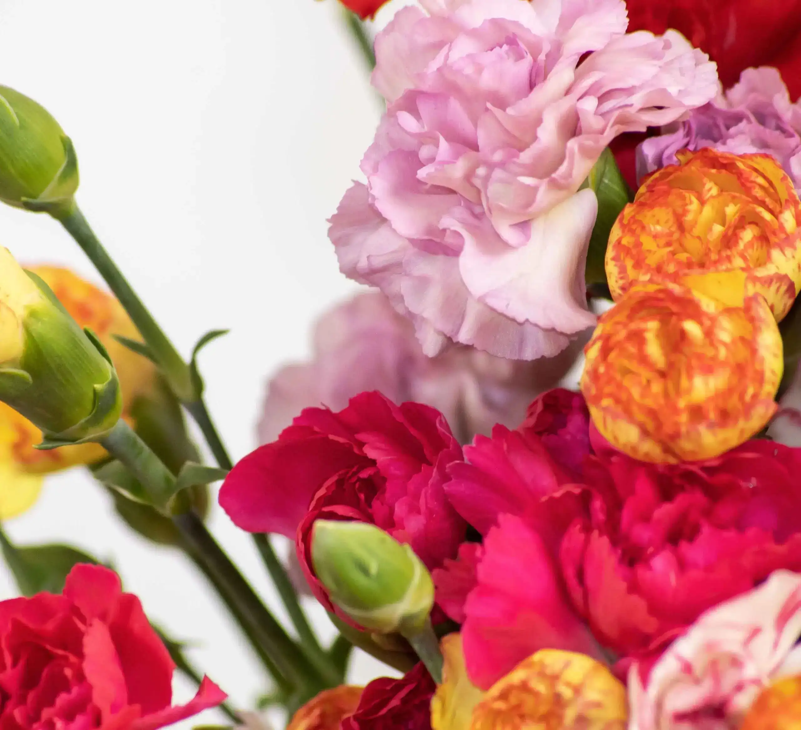 Bouquet de mini œillets – Image 2