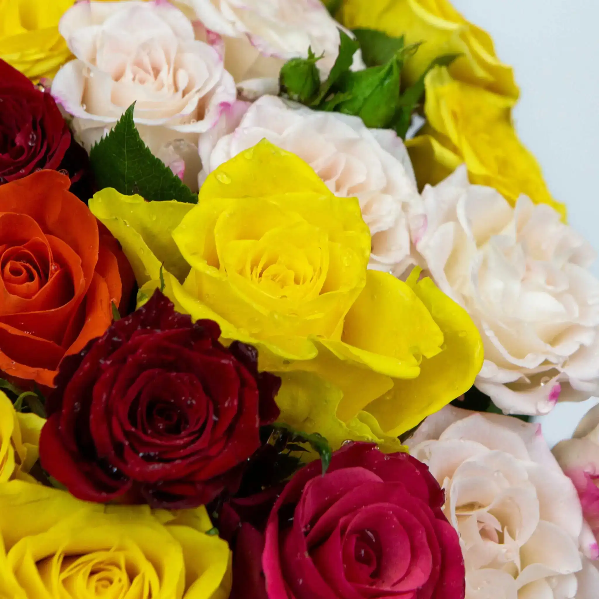 Bouquet Aquarelle de couleurs – Image 3