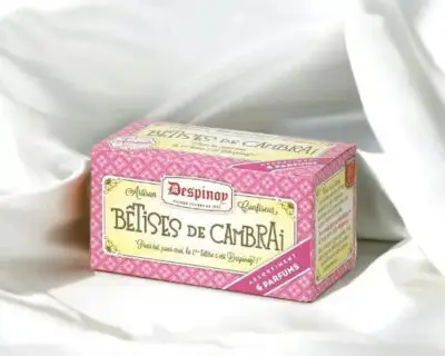 Boite de Bêtises de Cambrai