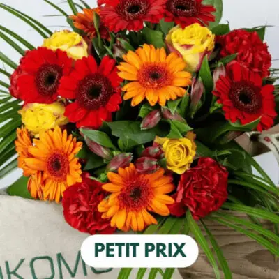 Bouquet Eclat de Germinis