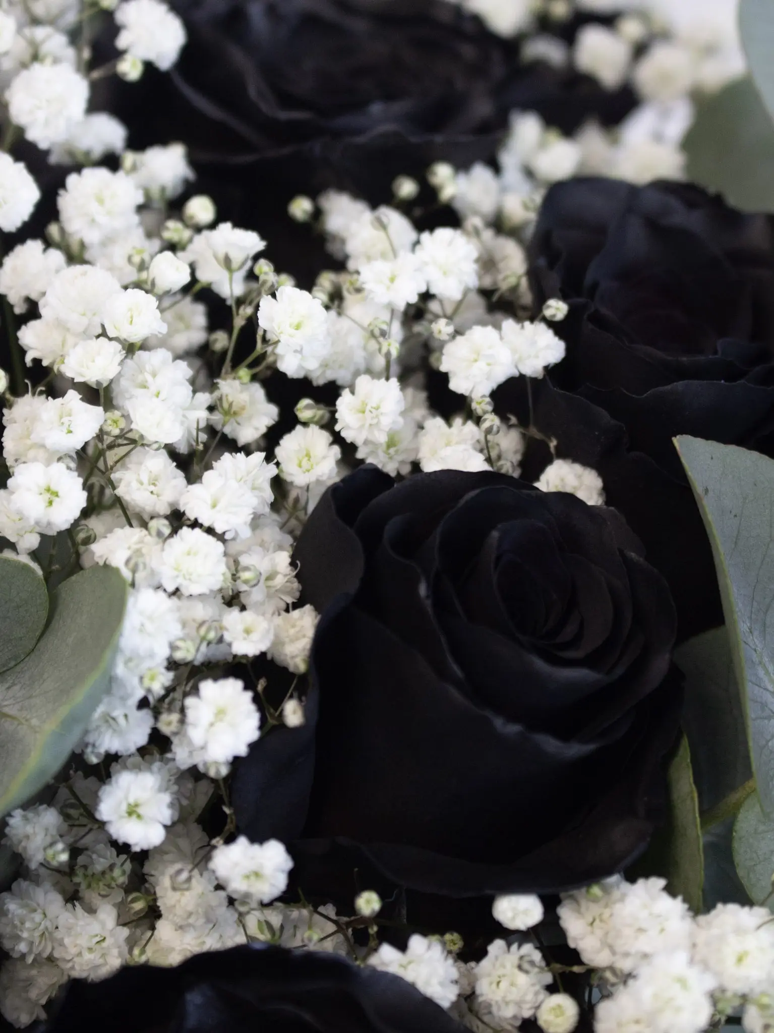 Bouquet Roses Noires – Image 2