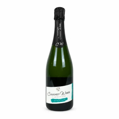 Champagne sur fond blanc