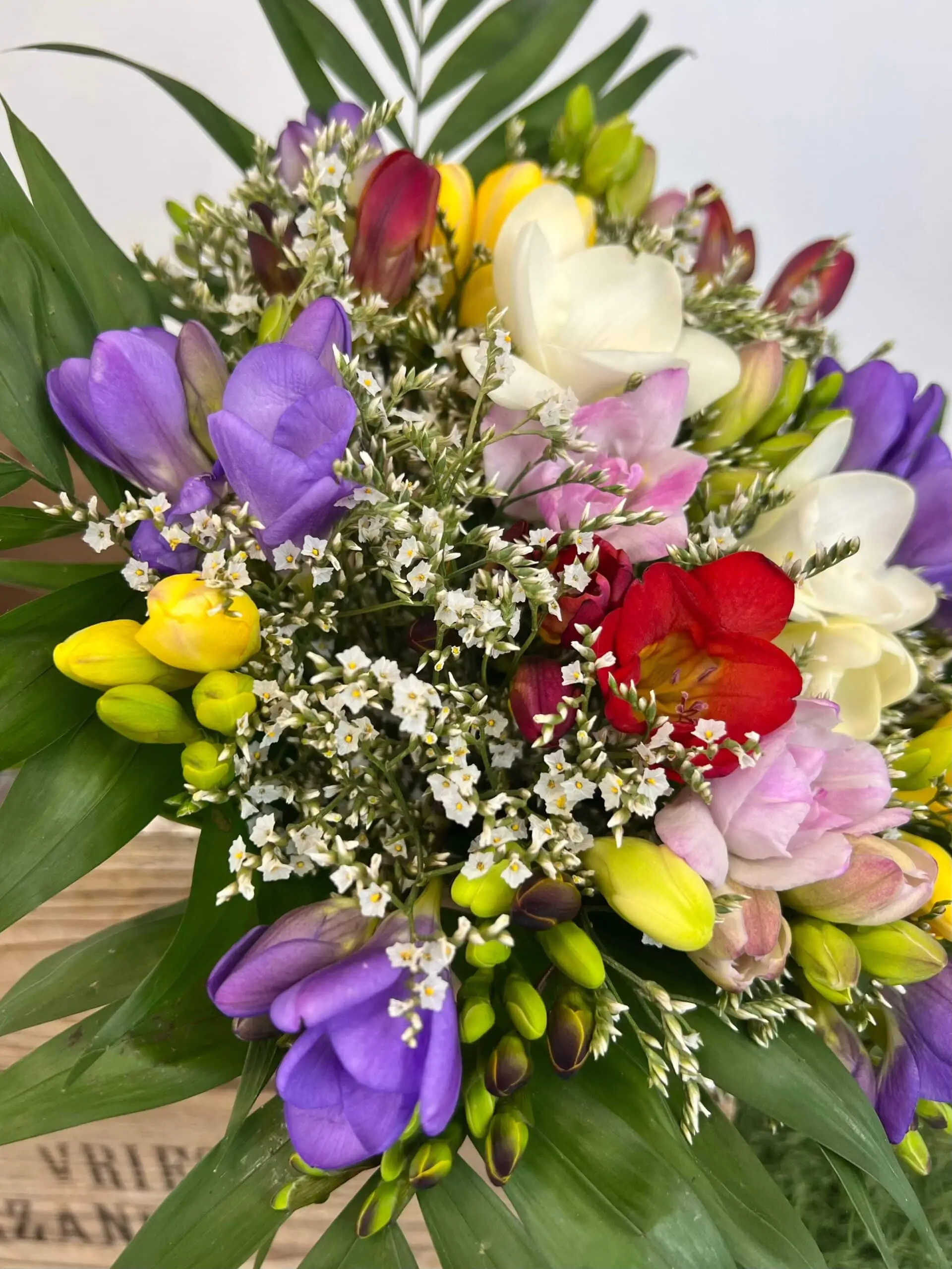Composition florale de frésias aux couleurs variées