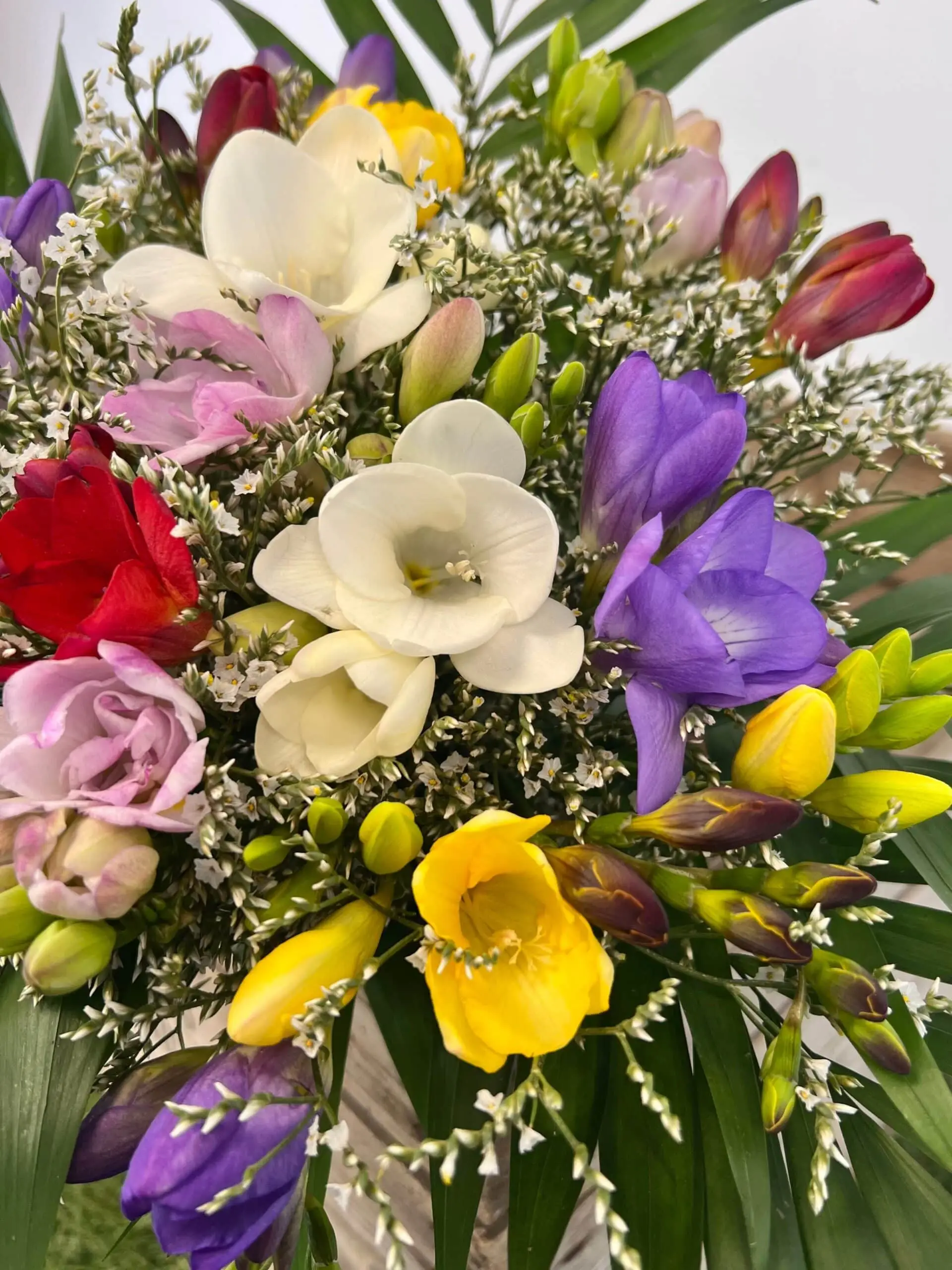 Détail des fleurs d’un bouquet de frésias