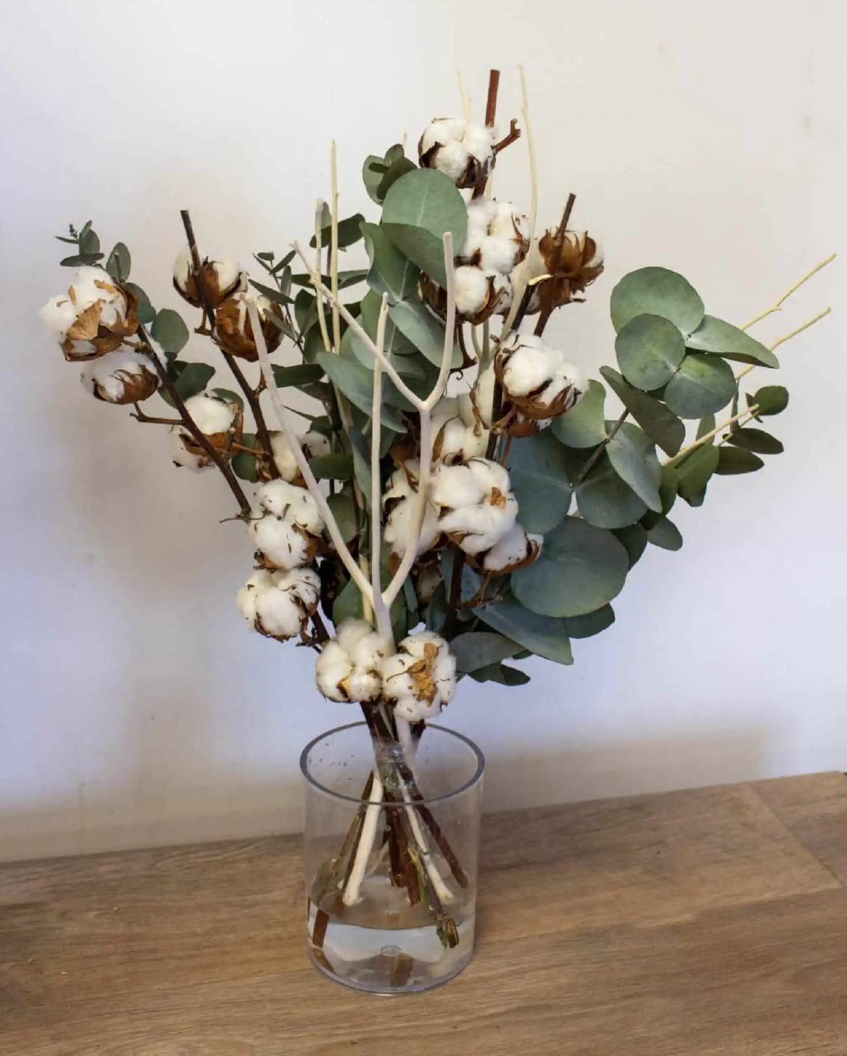 Bouquet de fleurs de coton et eucalyptus séchés
