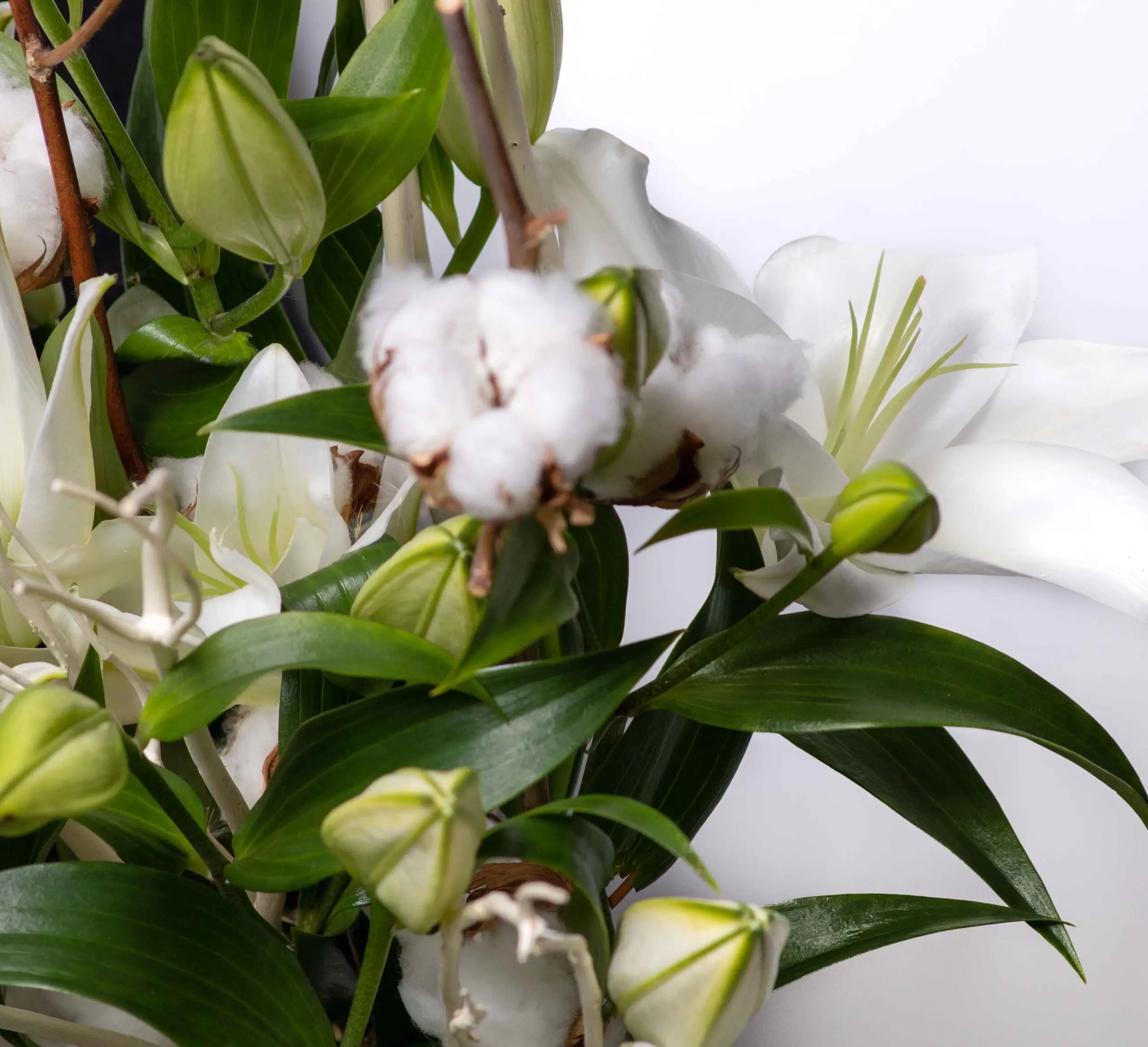 Lys blancs et coton dans un bouquet élégant