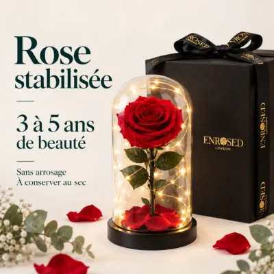 Rose rouge stabilisée sous cloche lumineuse avec coffret cadeau, 3 à 5 ans de beauté