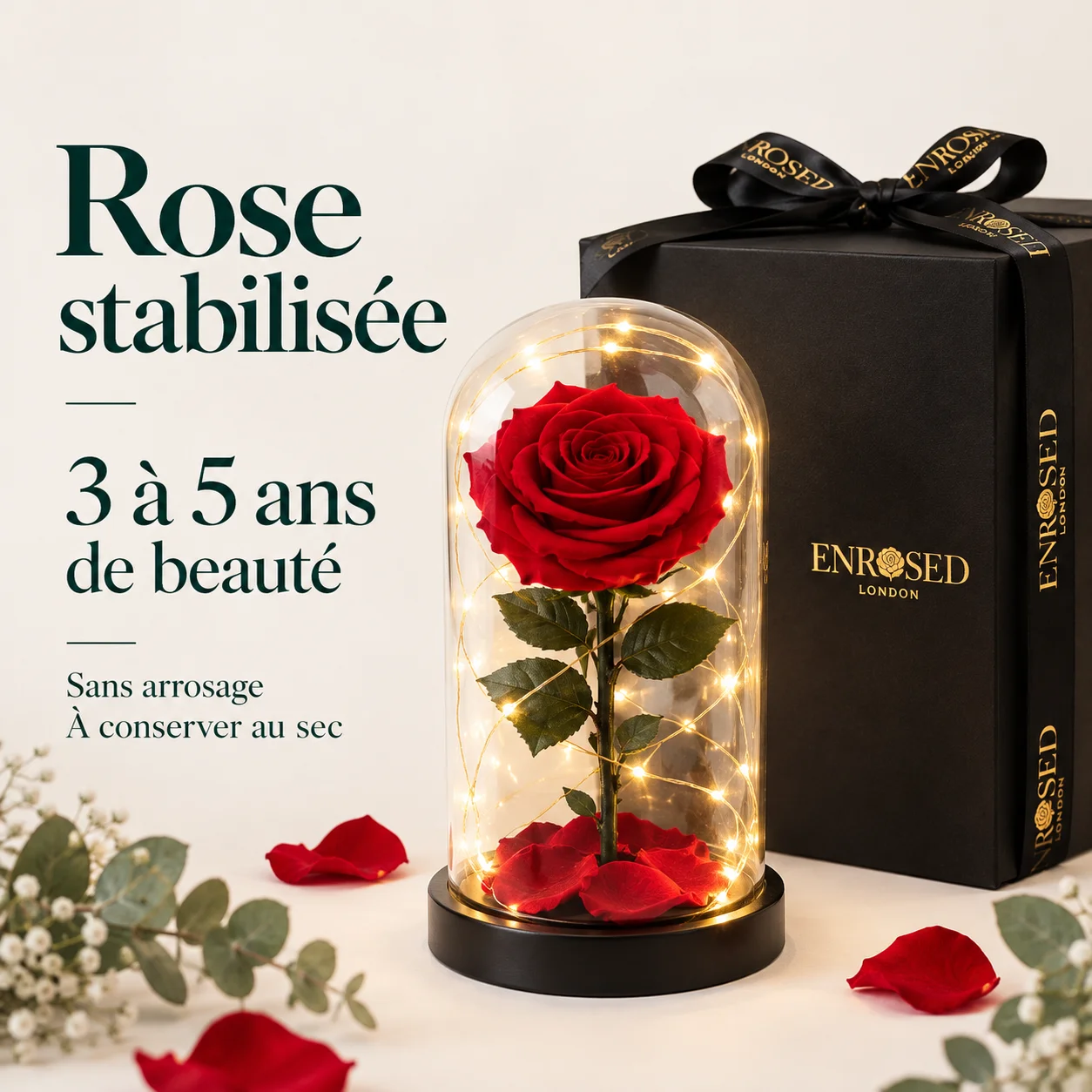 Rose rouge stabilisée sous cloche lumineuse avec coffret cadeau, 3 à 5 ans de beauté