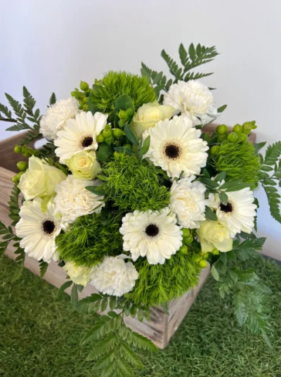 Nouveau Bouquet Albino