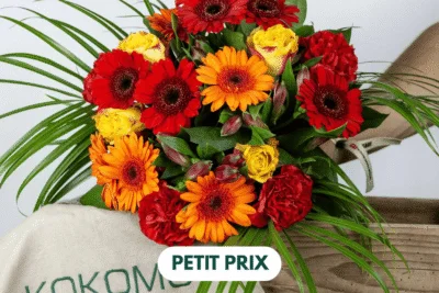 Bouquet Éclat de germinis petit prix