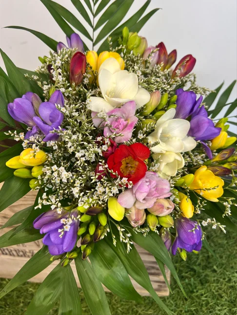 Bouquet de frésias colorés présenté de face