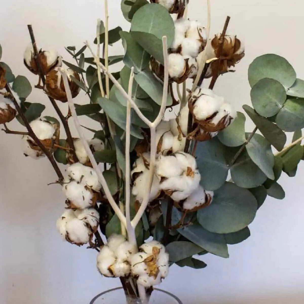 Bouquet Coton – vue de détail