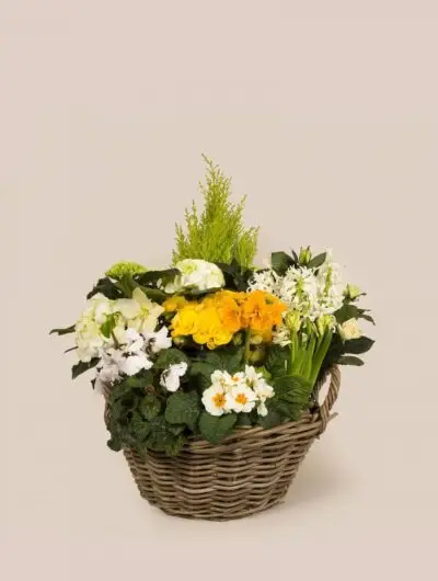 panier-de-plante