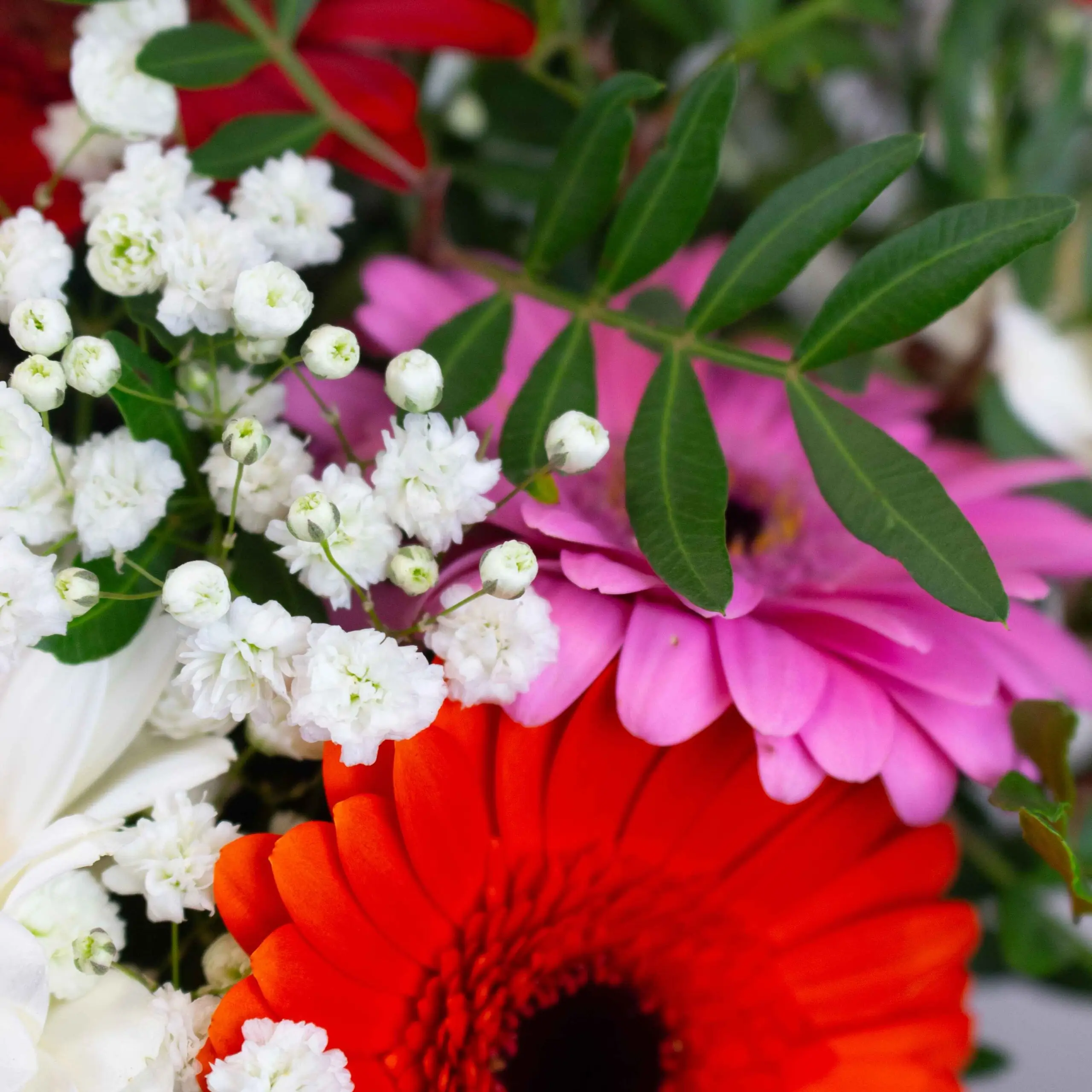 Bouquet Pop - détail